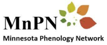 Minnesota Phenology Network Logo